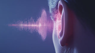 集音器を柔らかい布で丁寧にお手入れする様子を写した、長持ちさせるメンテナンスのイメージ