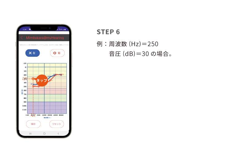 6.オージオグラム入力