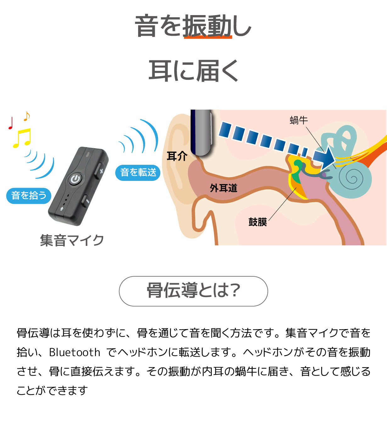 Mimitakara（ミミタカラ） 集音器｜充電式 ワイヤレス 骨伝導集音器 集音マイク 付き［両耳用］ 【 適応聴力：軽度・中等度 】