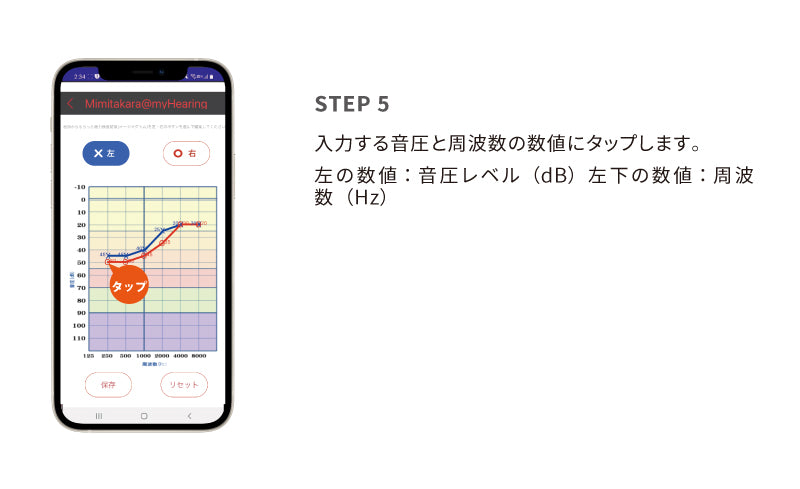 6.オージオグラム入力